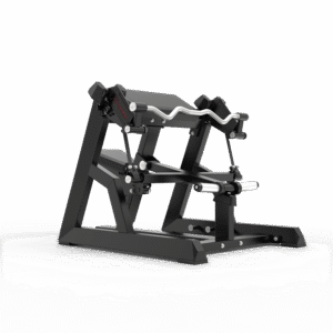 Seated Biceps