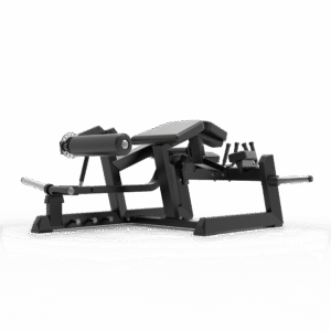 Prone Leg Curl