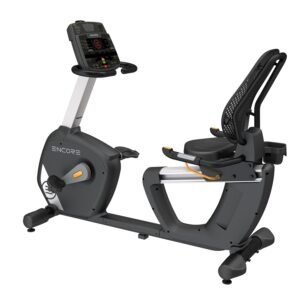 Recumbent Bike