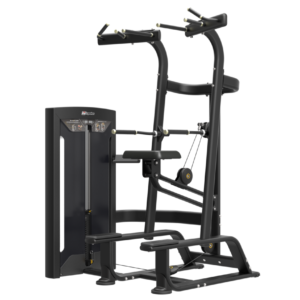 Weight Assisted Chin/Dip Combo