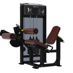 Seated Leg Curl