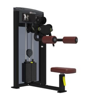 Lateral Raise