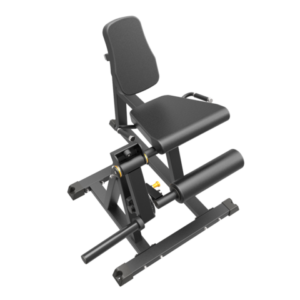 Seated Leg Extension
