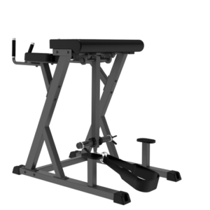 Reverse Hyperextension