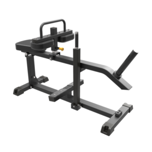 Seated Calf Raise