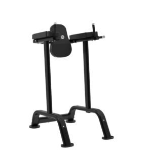 Vertical Knee Raise