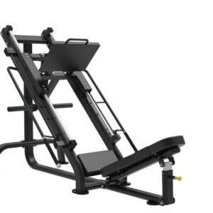 45 Leg Press