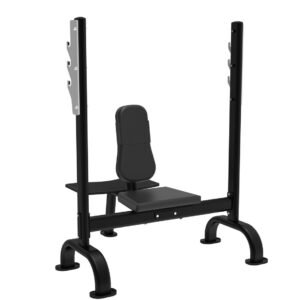 Shoulder Press Bench