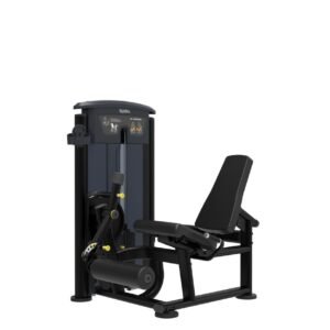 Leg Extension