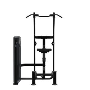 Weight Assisted Chin / Dip Combo