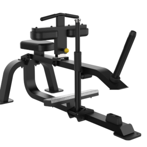 Seated Calf Raise