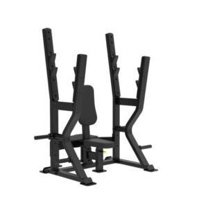 Shoulder Press Bench