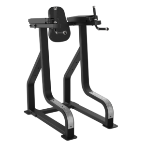 Vertical Knee Raise