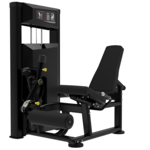 Leg Extension