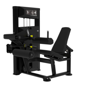 Seated Leg Curl